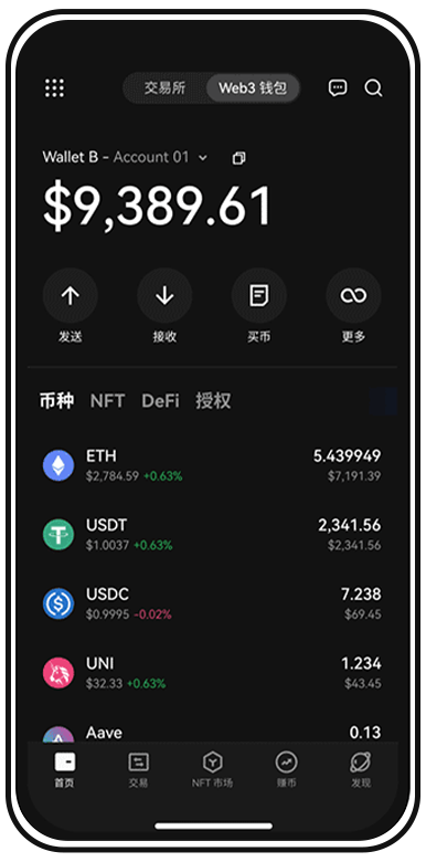 加密手机应用